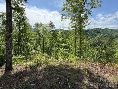 0 Fontana Lake Way Bryson City NC 28713
