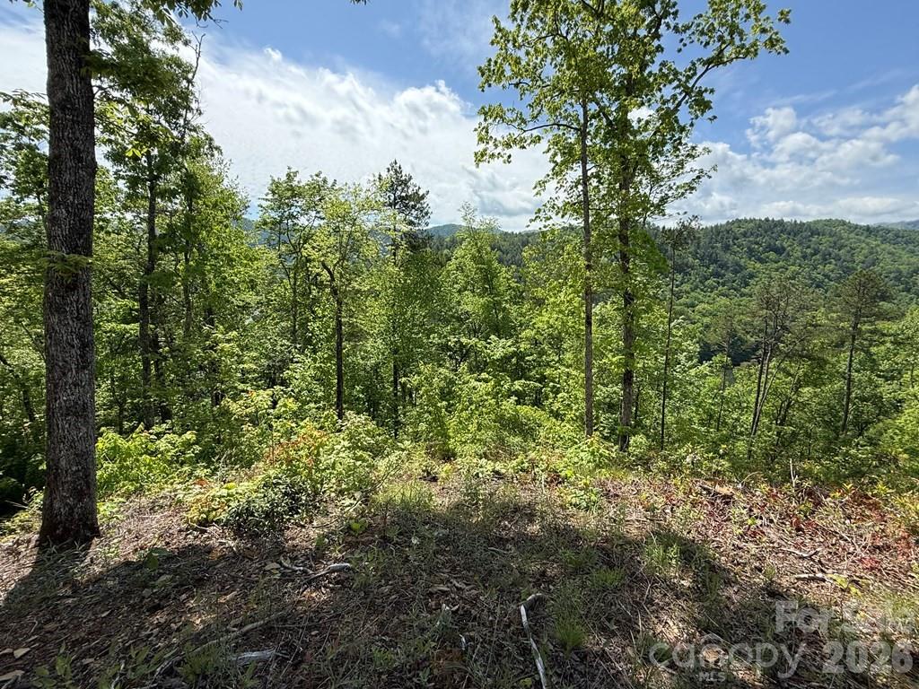 0 Fontana Lake Way Bryson City NC 28713