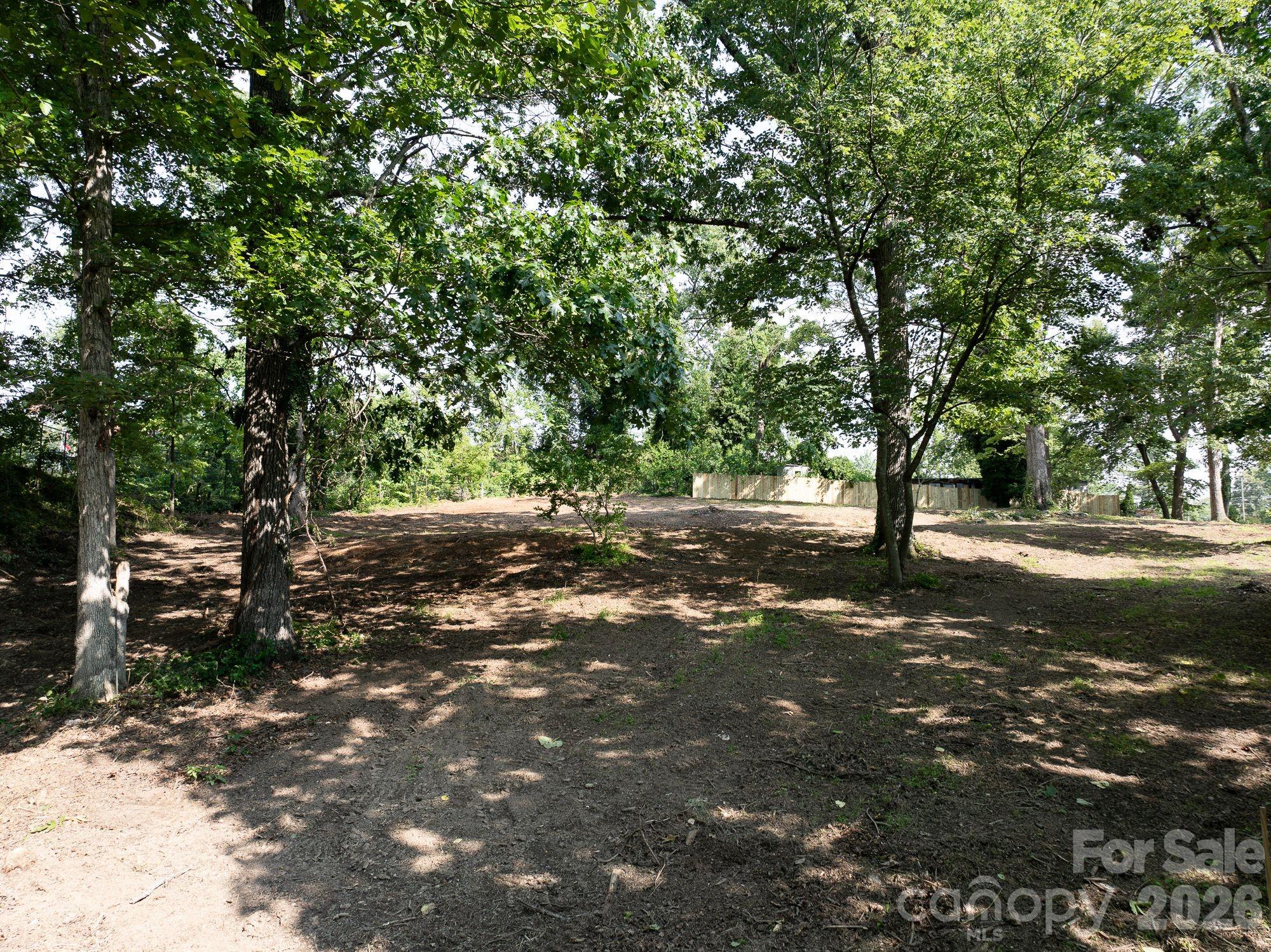 33 Reese Street Asheville NC 28804