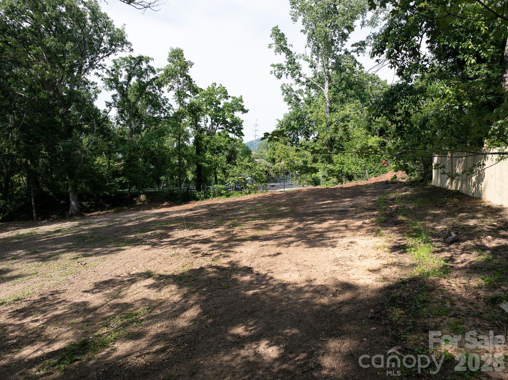 33 Reese Street Asheville NC 28804