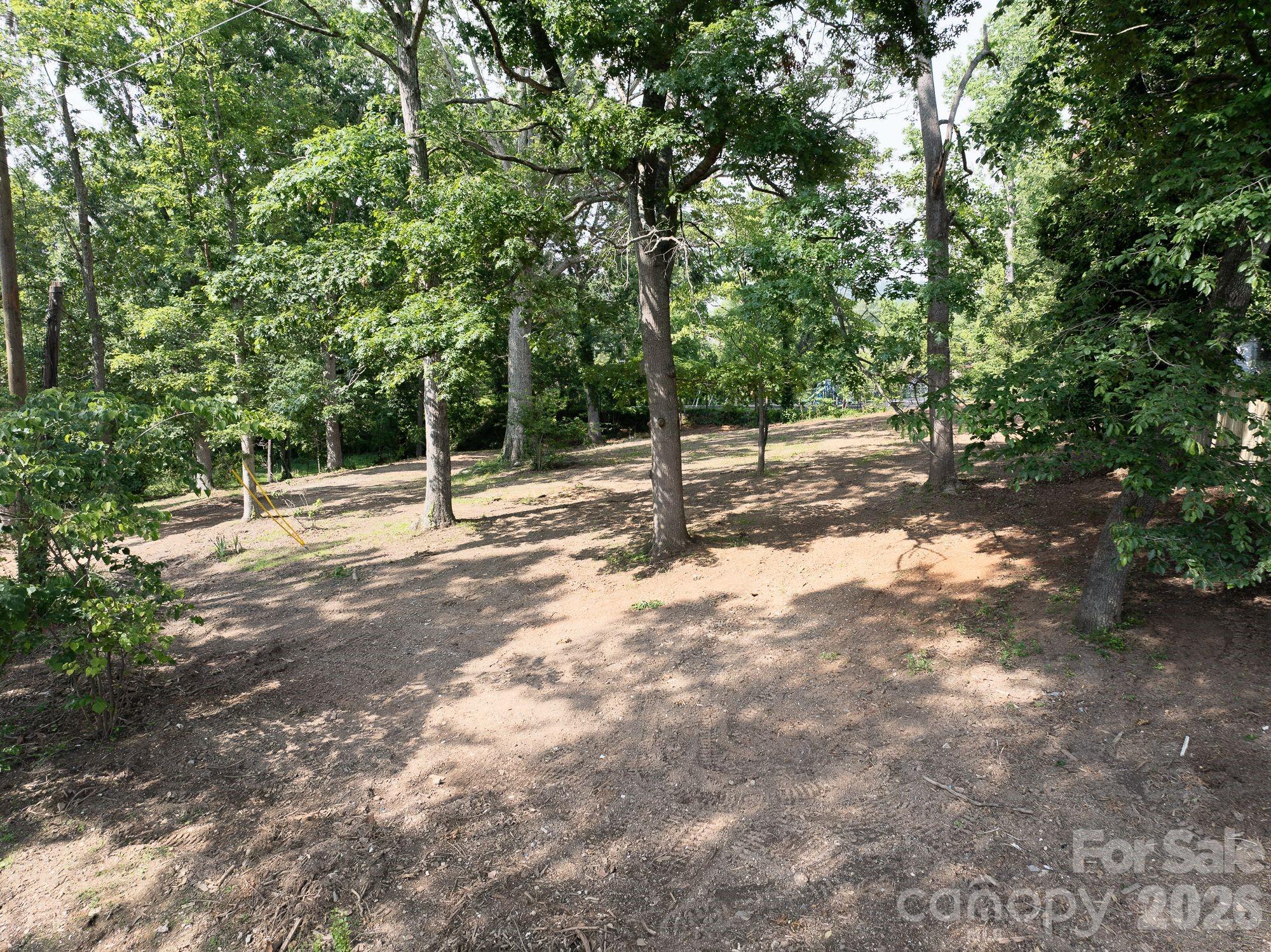 33 Reese Street Asheville NC 28804