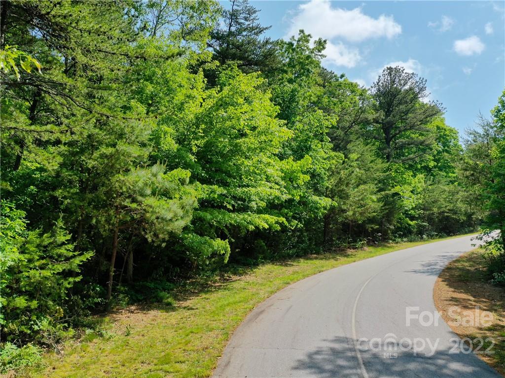 Lot 295 Eastman Place Mill Spring NC 28756