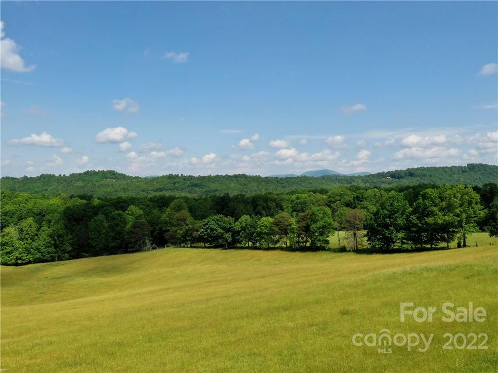 Lot 295 Eastman Place Mill Spring NC 28756