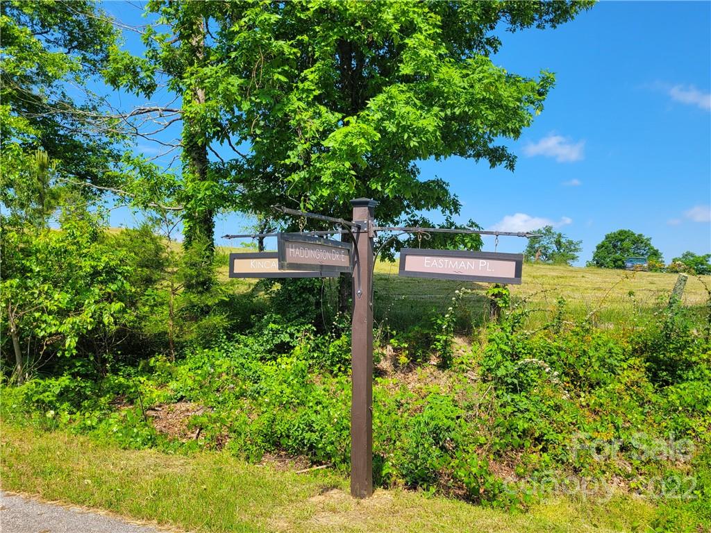 Lot 295 Eastman Place Mill Spring NC 28756