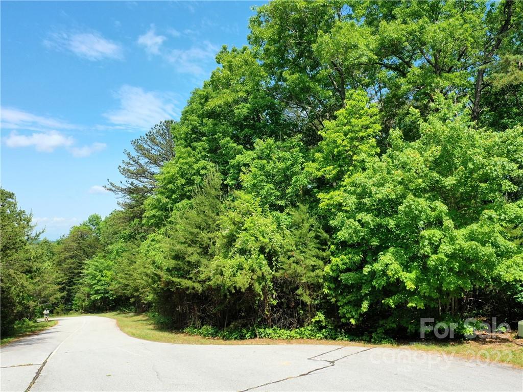Lot 295 Eastman Place Mill Spring NC 28756