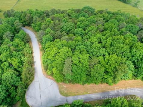 Lot 295 Eastman Place Mill Spring NC 28756