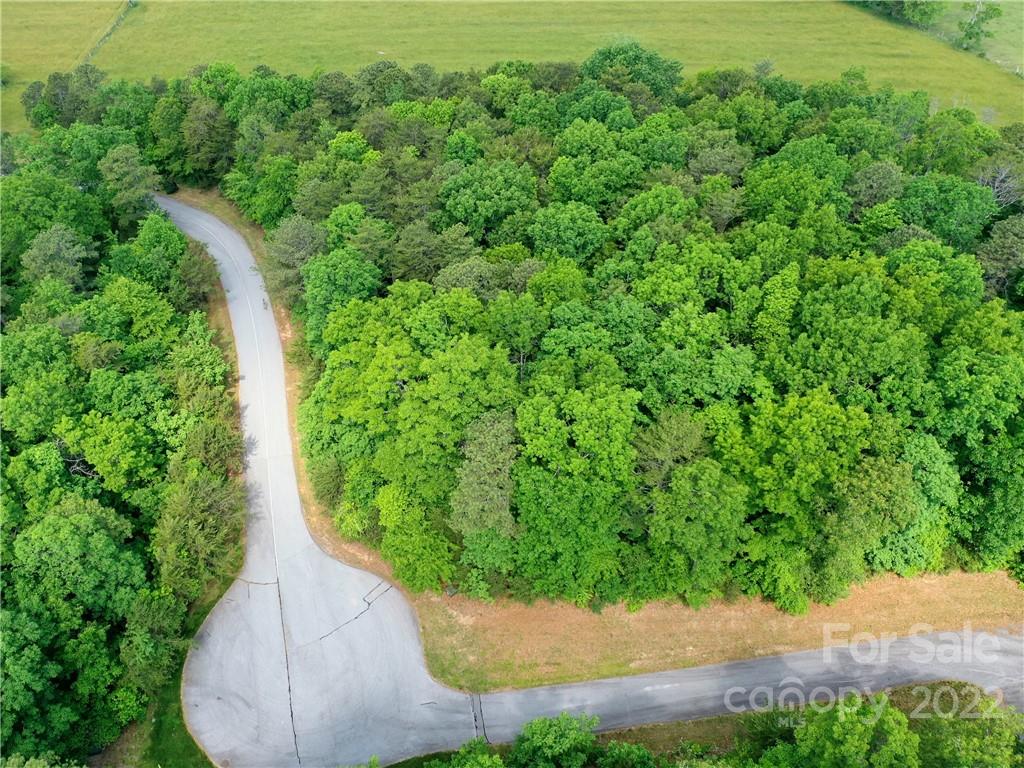 Lot 295 Eastman Place Mill Spring NC 28756