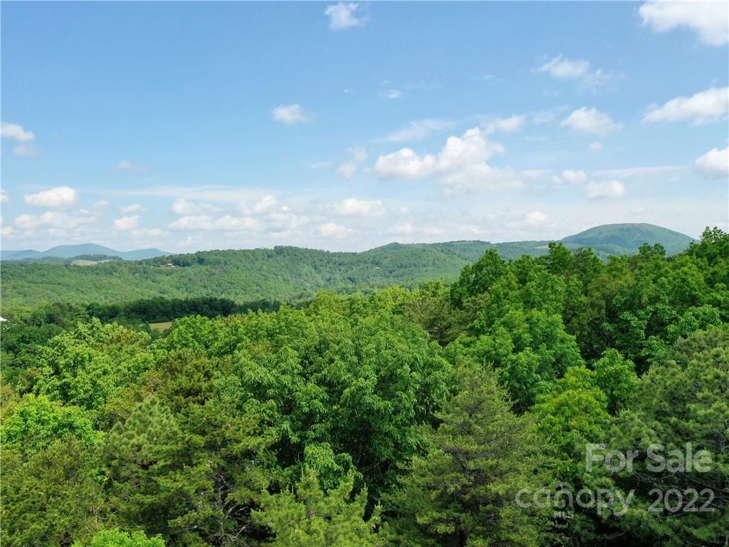 Lot 295 Eastman Place Mill Spring NC 28756