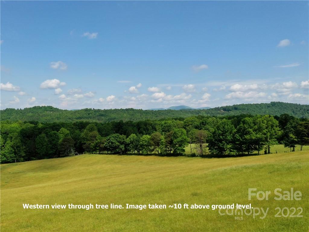 Lot 295 Eastman Place Mill Spring NC 28756