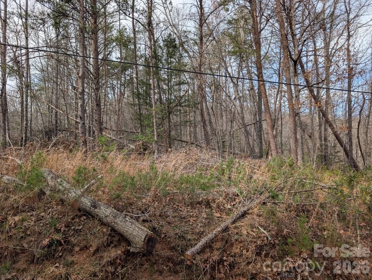 4960 Singleton Drive Morganton NC 28655
