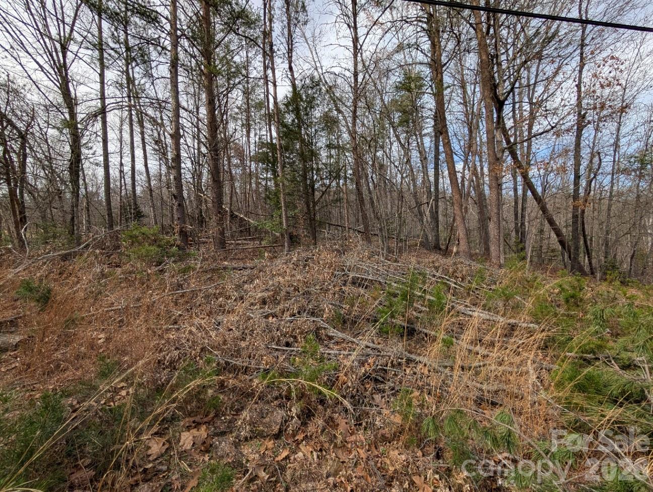 4960 Singleton Drive Morganton NC 28655