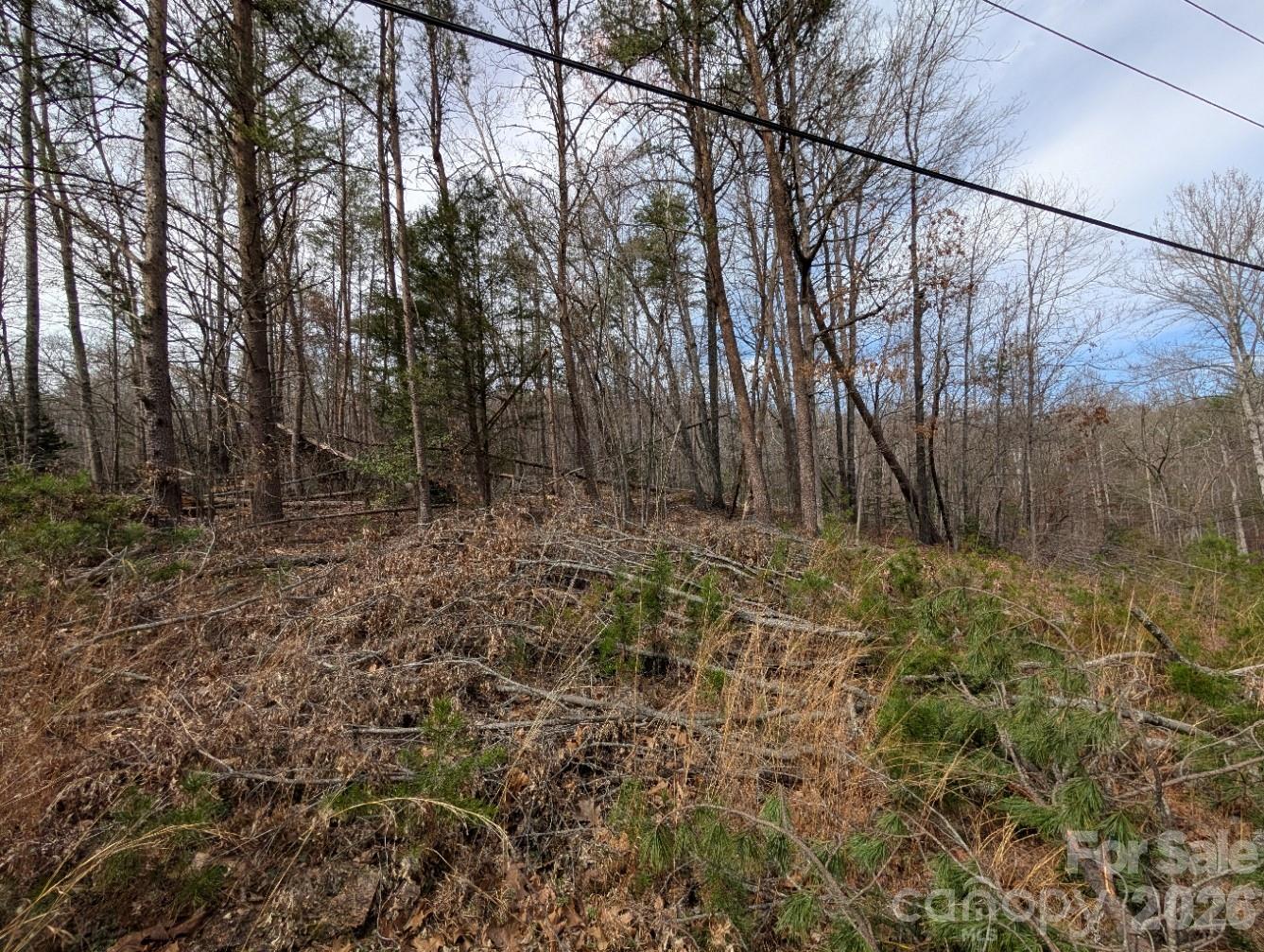 4960 Singleton Drive Morganton NC 28655