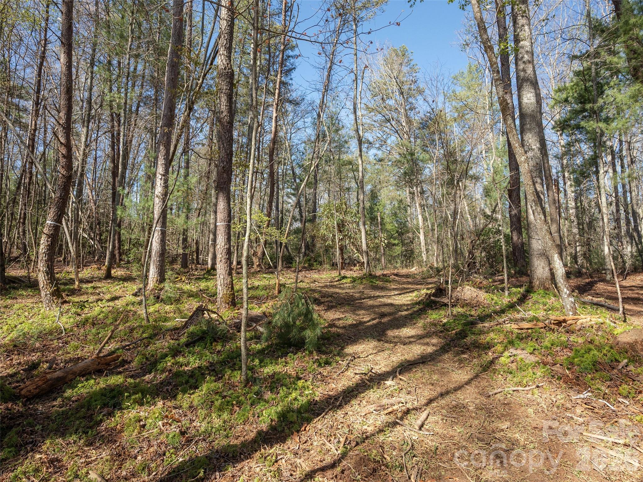 137 Nancy Ashworth Lane Fairview NC 28730