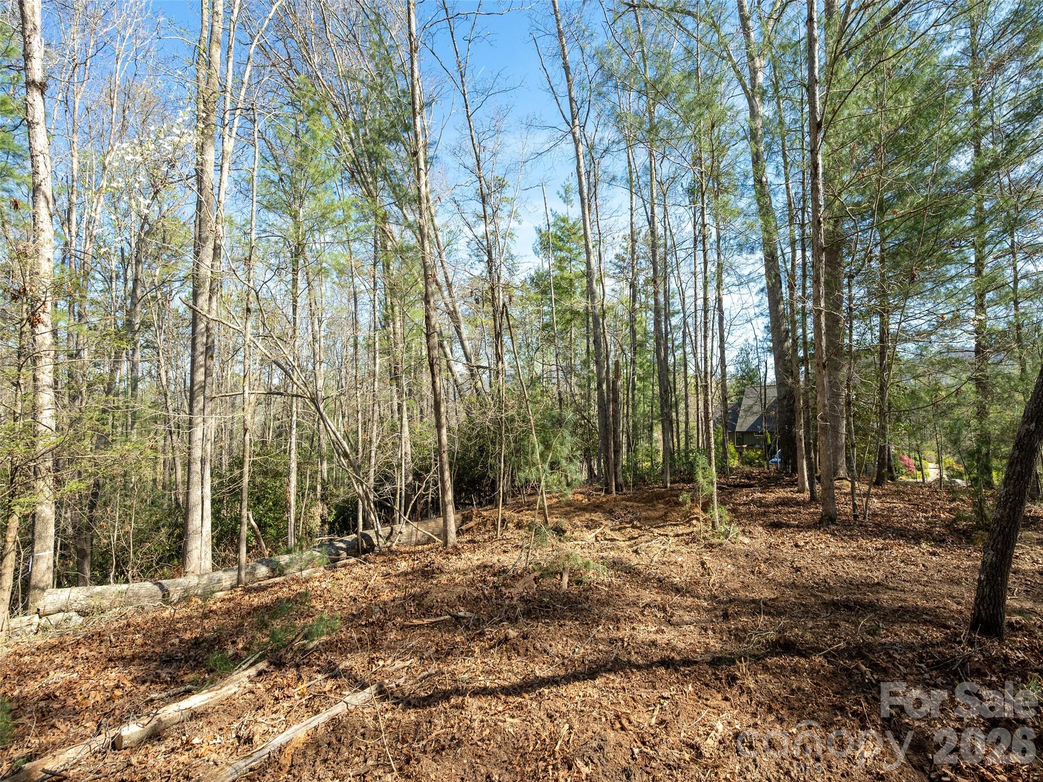 137 Nancy Ashworth Lane Fairview NC 28730