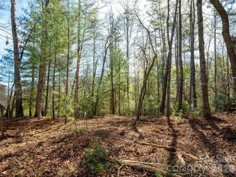 137 Nancy Ashworth Lane Fairview NC 28730