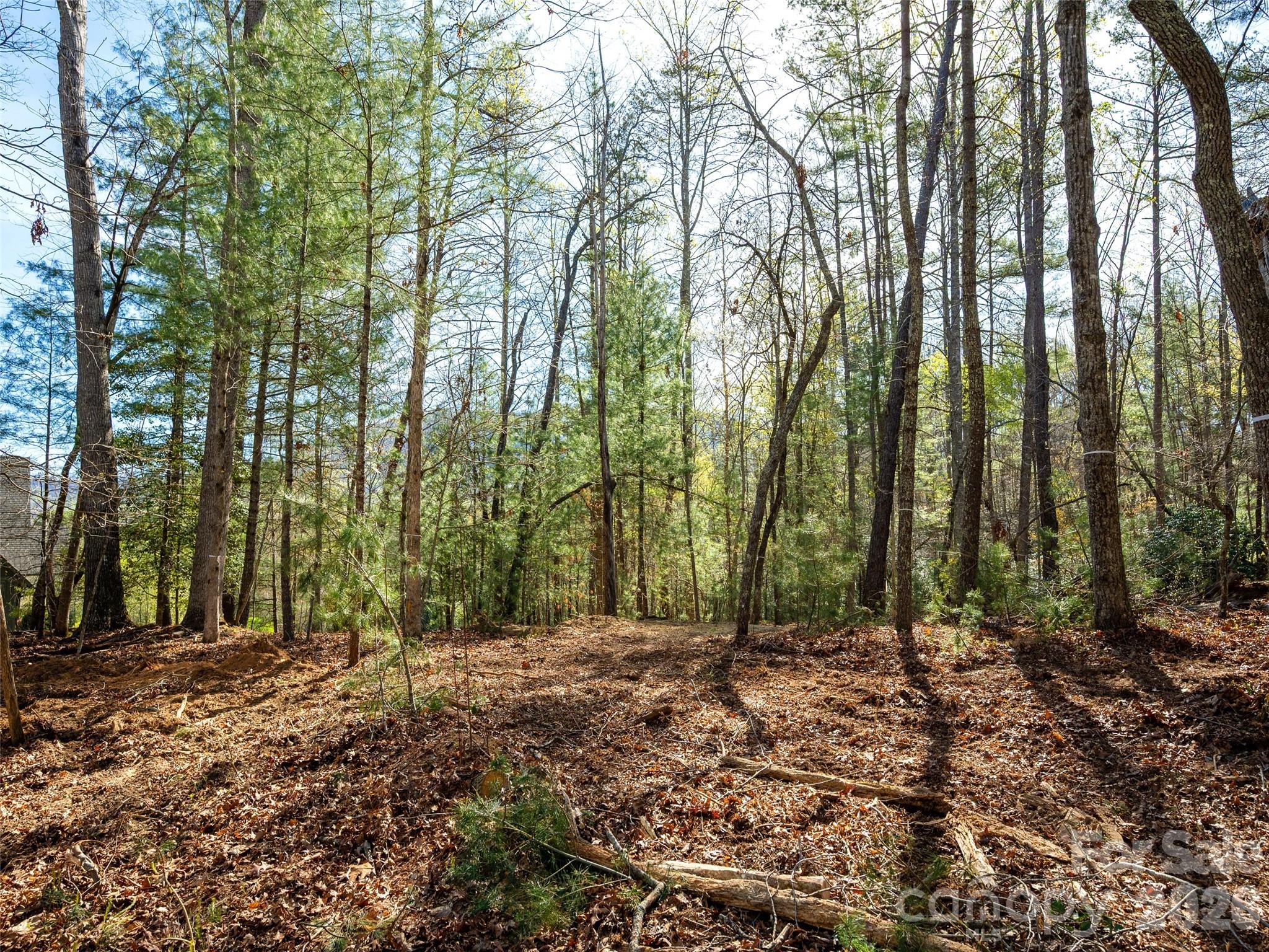 137 Nancy Ashworth Lane Fairview NC 28730