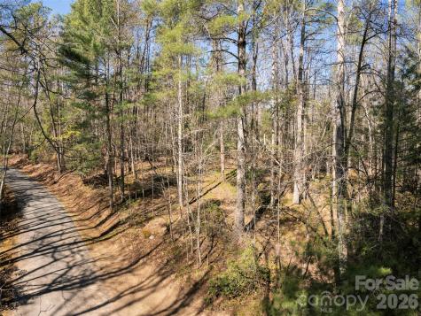 137 Nancy Ashworth Lane Fairview NC 28730