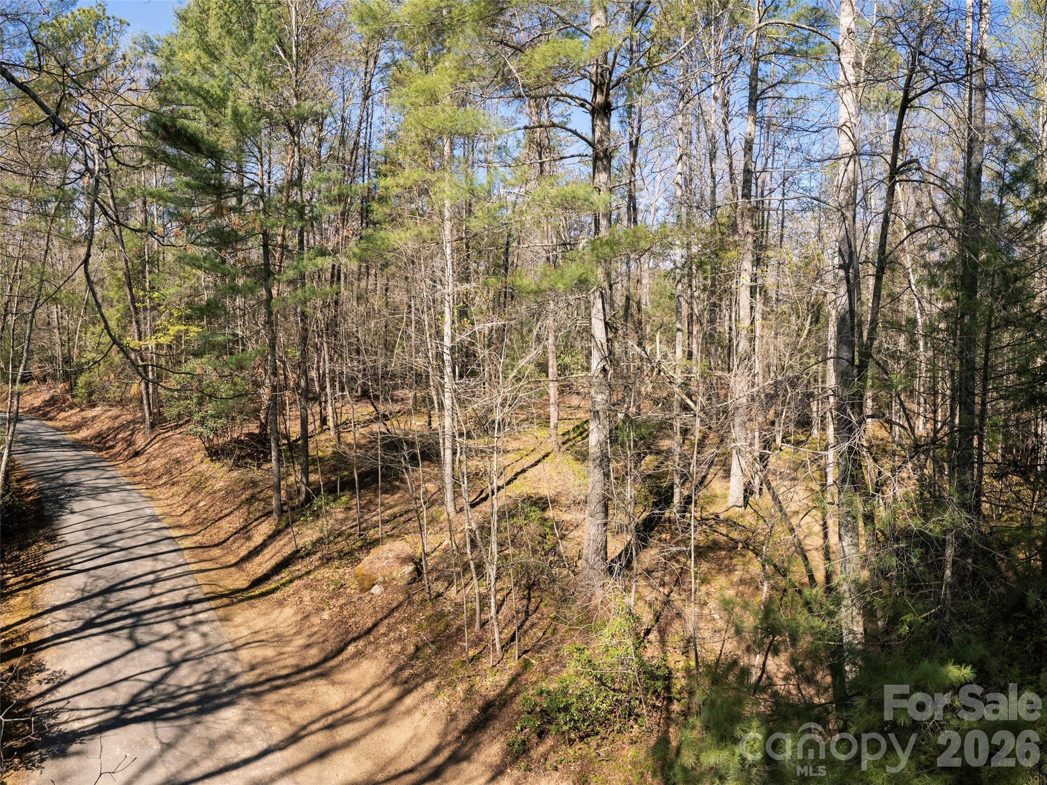 137 Nancy Ashworth Lane Fairview NC 28730