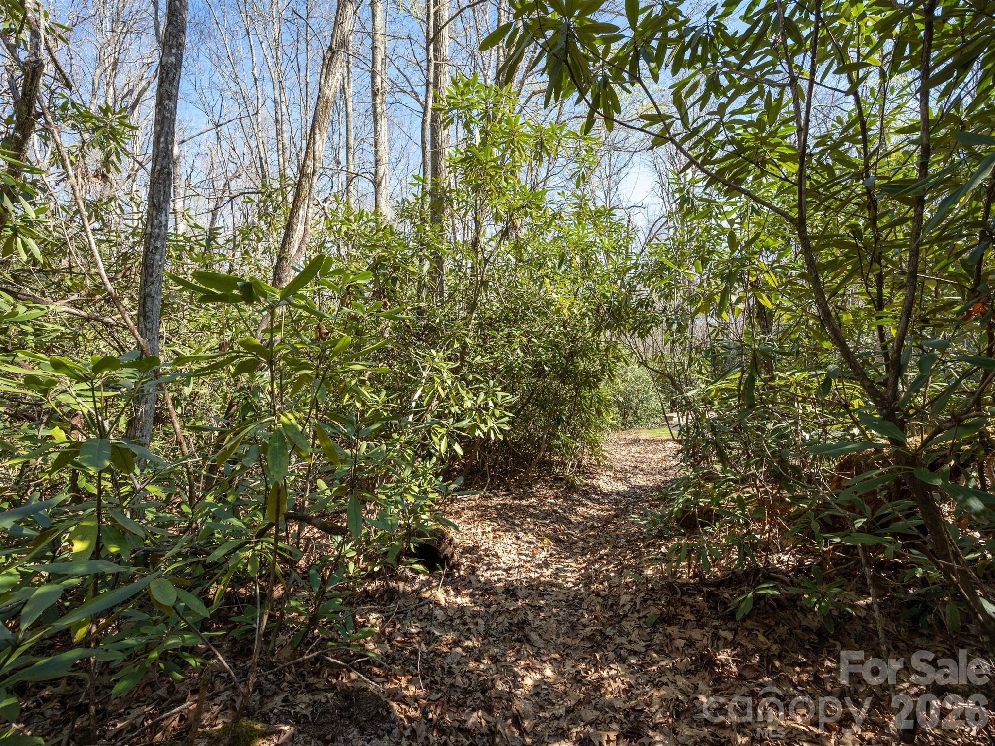 137 Nancy Ashworth Lane Fairview NC 28730