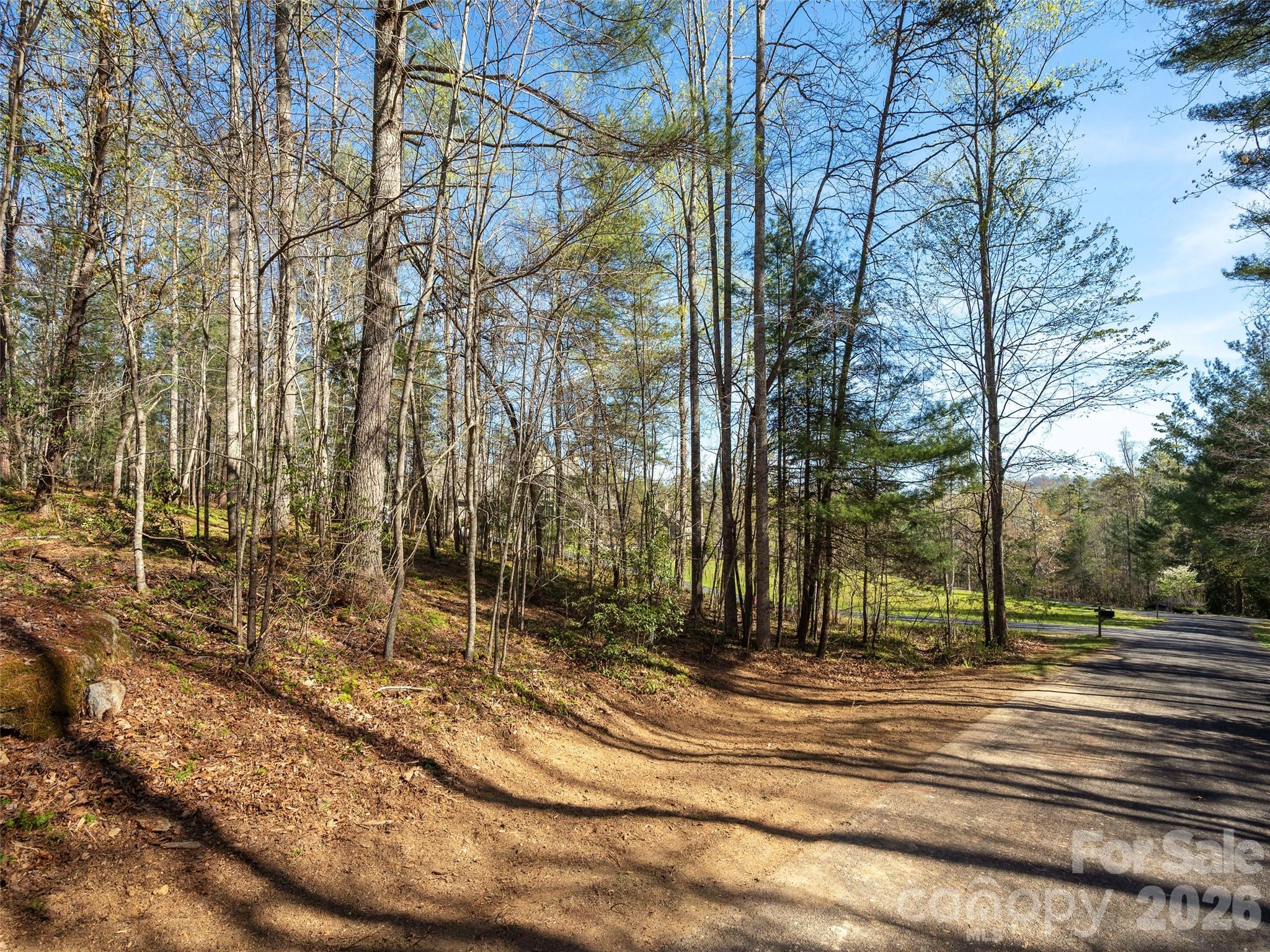 137 Nancy Ashworth Lane Fairview NC 28730