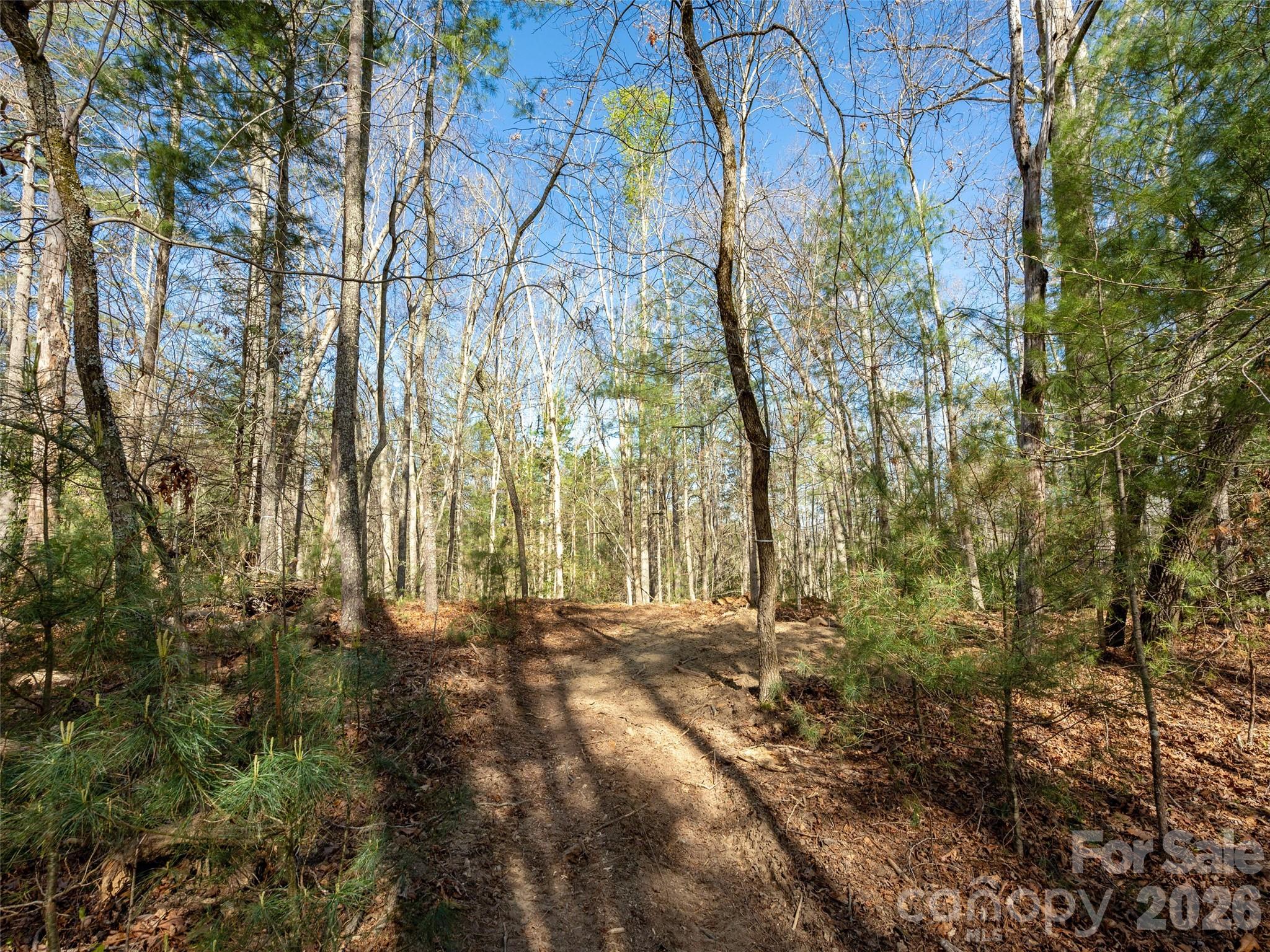 137 Nancy Ashworth Lane Fairview NC 28730