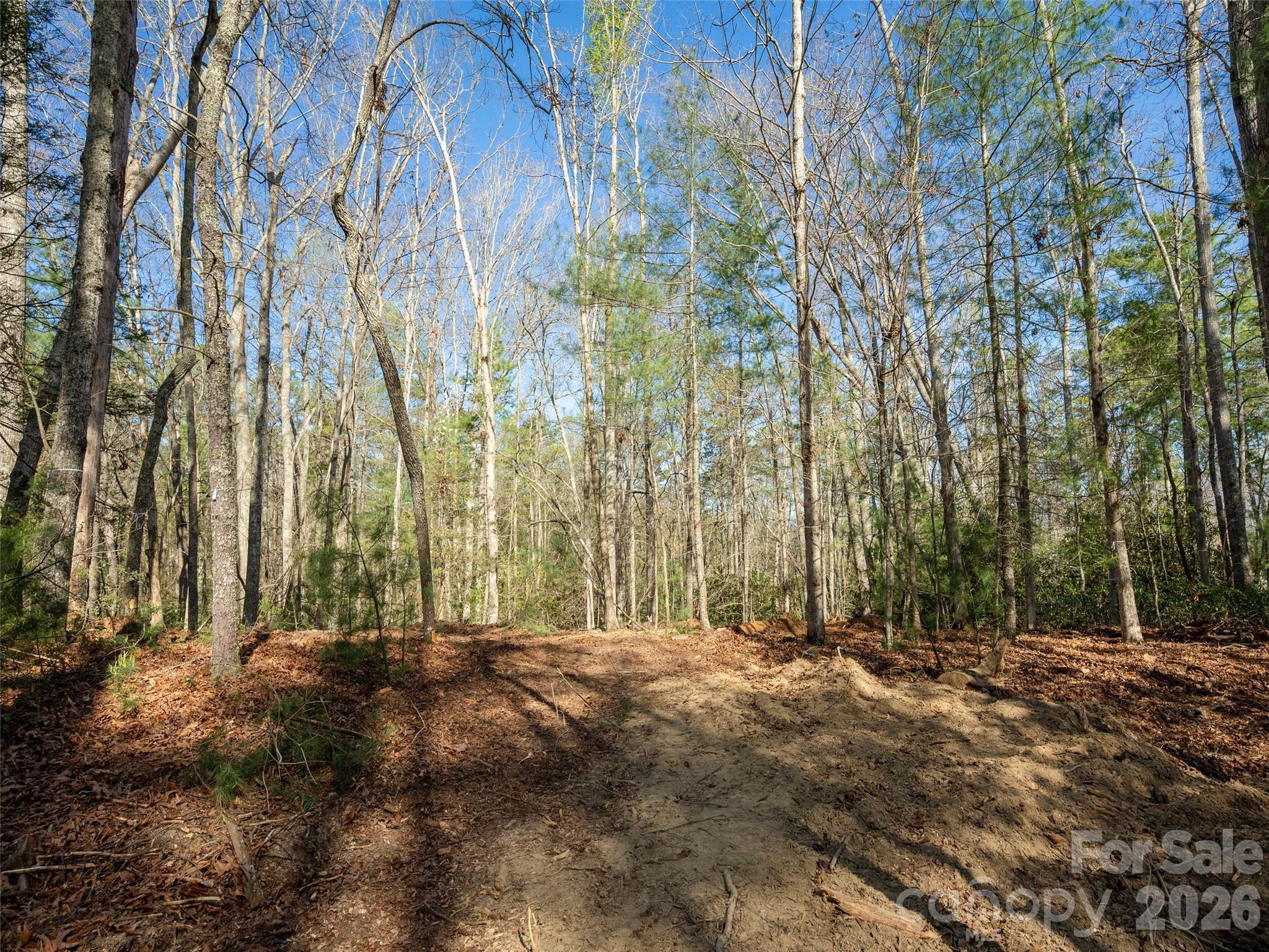 137 Nancy Ashworth Lane Fairview NC 28730