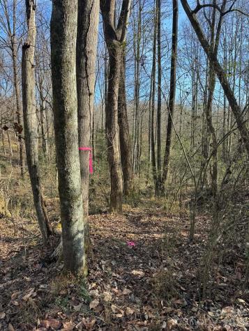 001 Rock Creek Church Road North Wilkesboro NC 28659