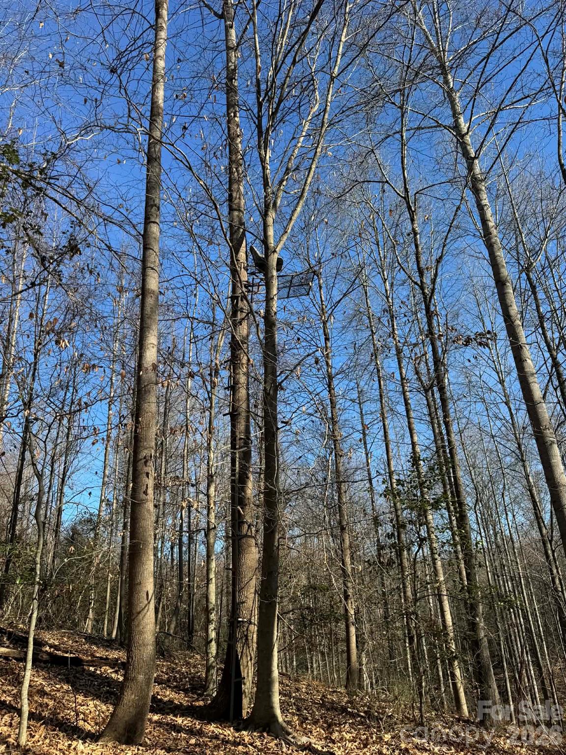 001 Rock Creek Church Road North Wilkesboro NC 28659