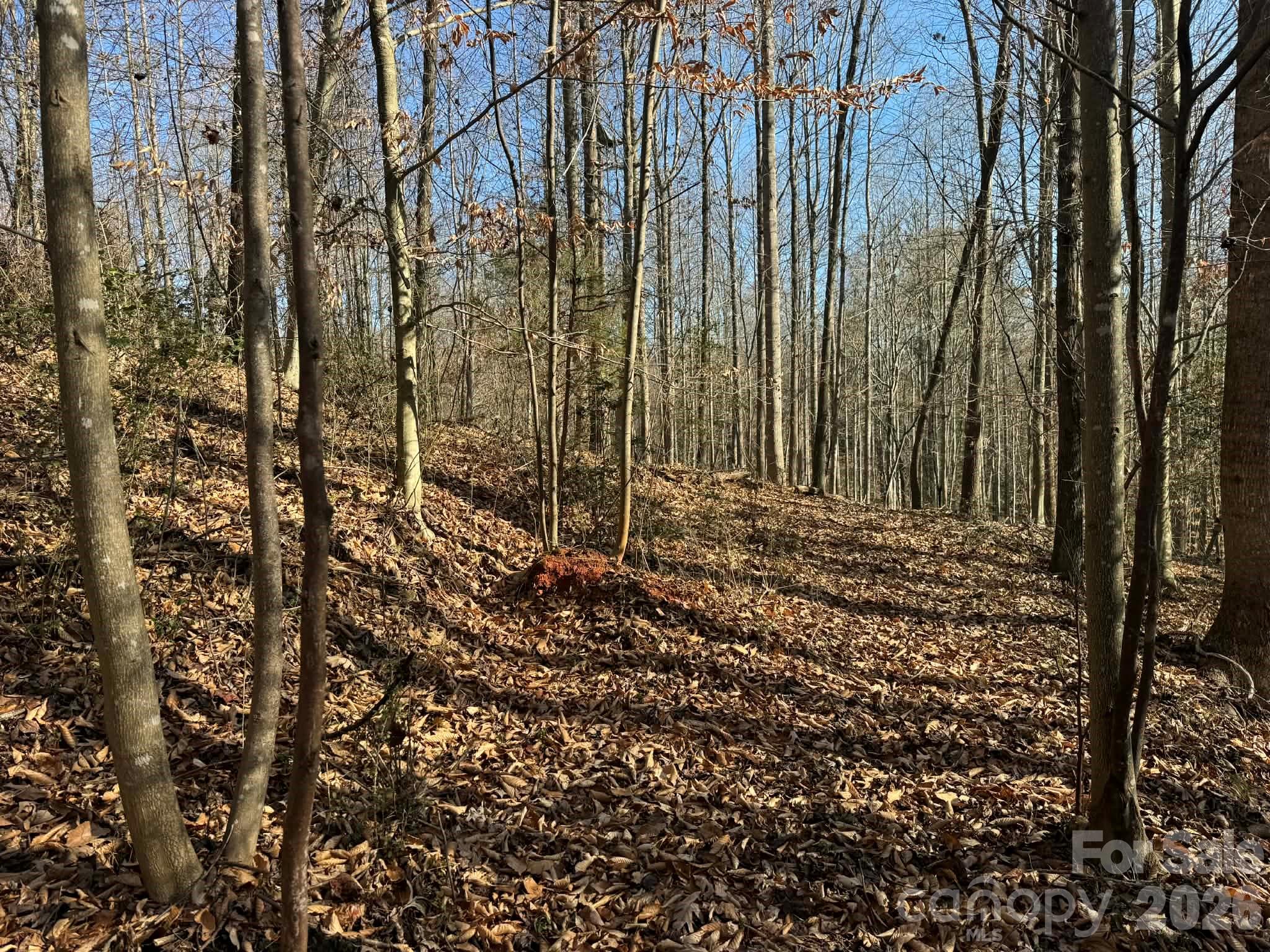001 Rock Creek Church Road North Wilkesboro NC 28659