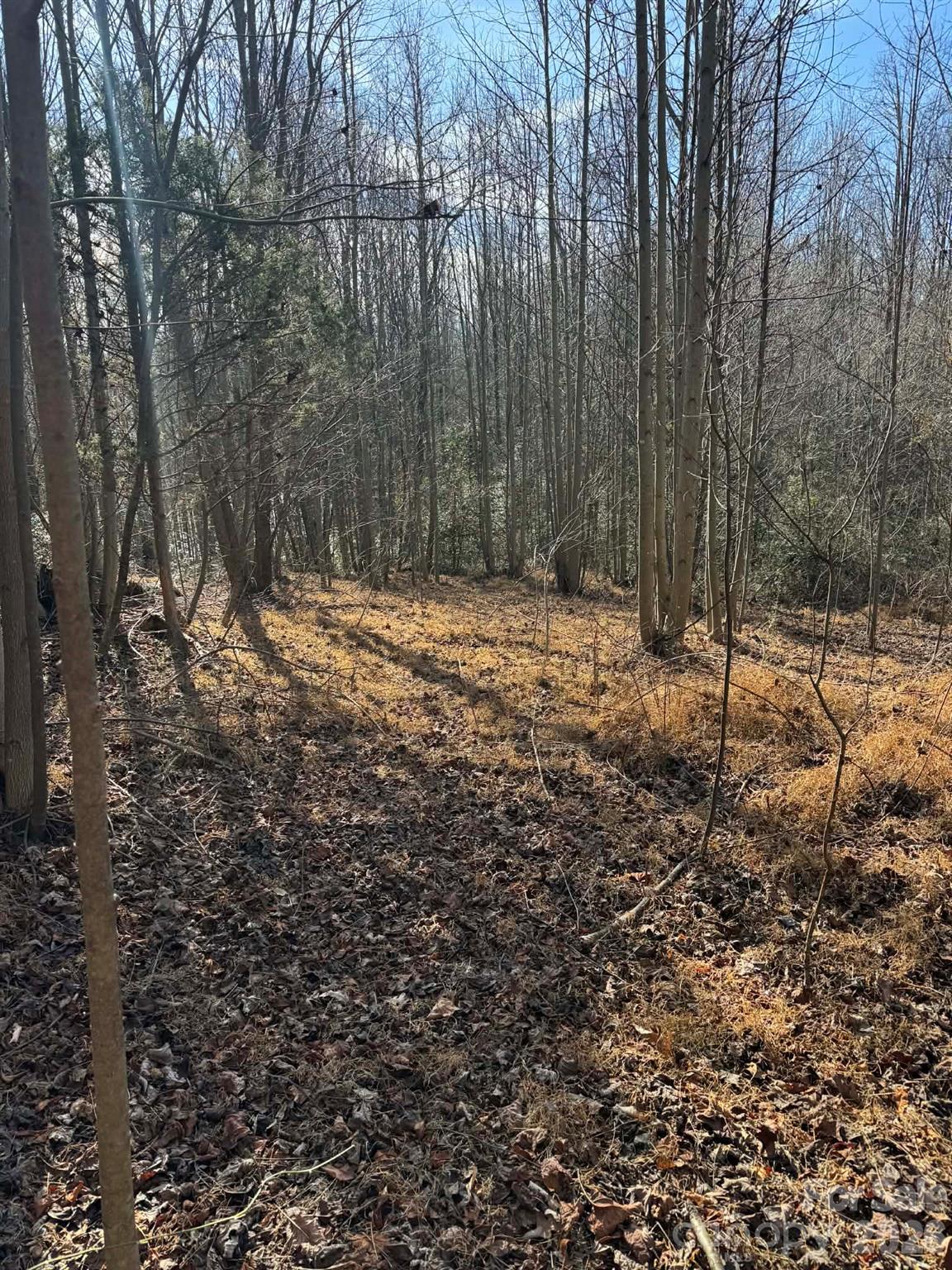 001 Rock Creek Church Road North Wilkesboro NC 28659