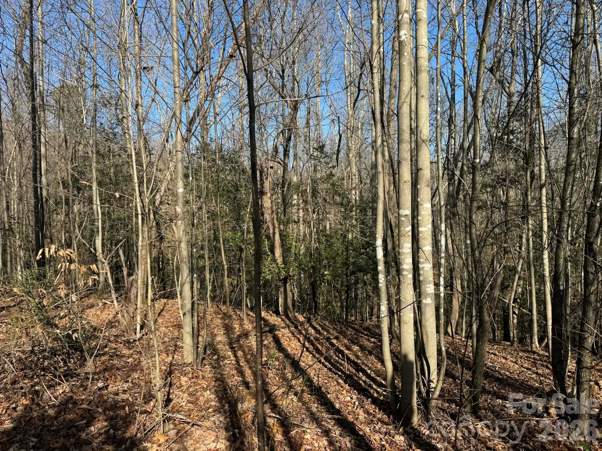 001 Rock Creek Church Road North Wilkesboro NC 28659
