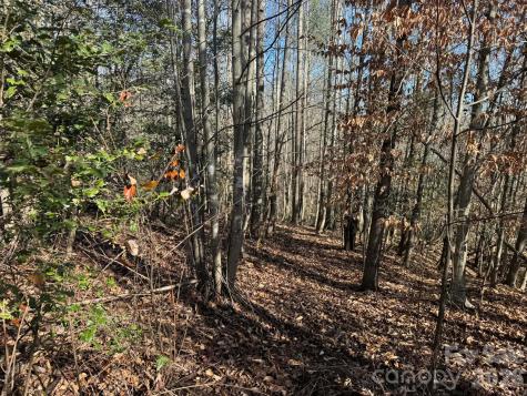 001 Rock Creek Church Road North Wilkesboro NC 28659