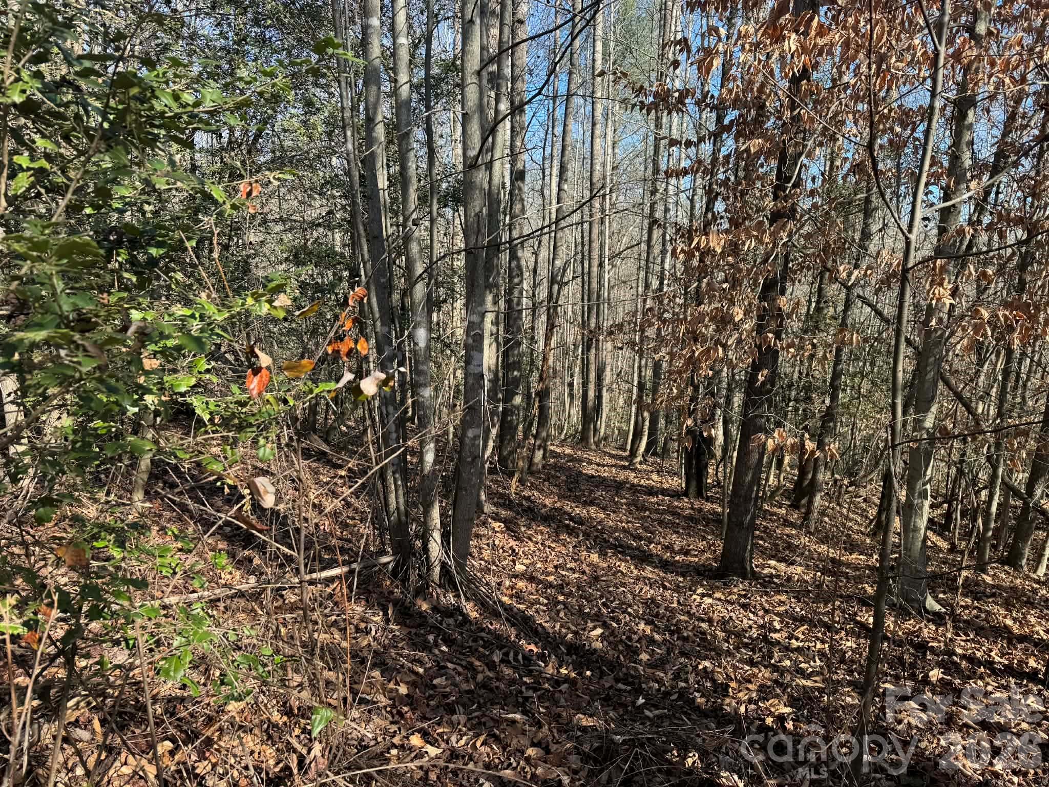 001 Rock Creek Church Road North Wilkesboro NC 28659
