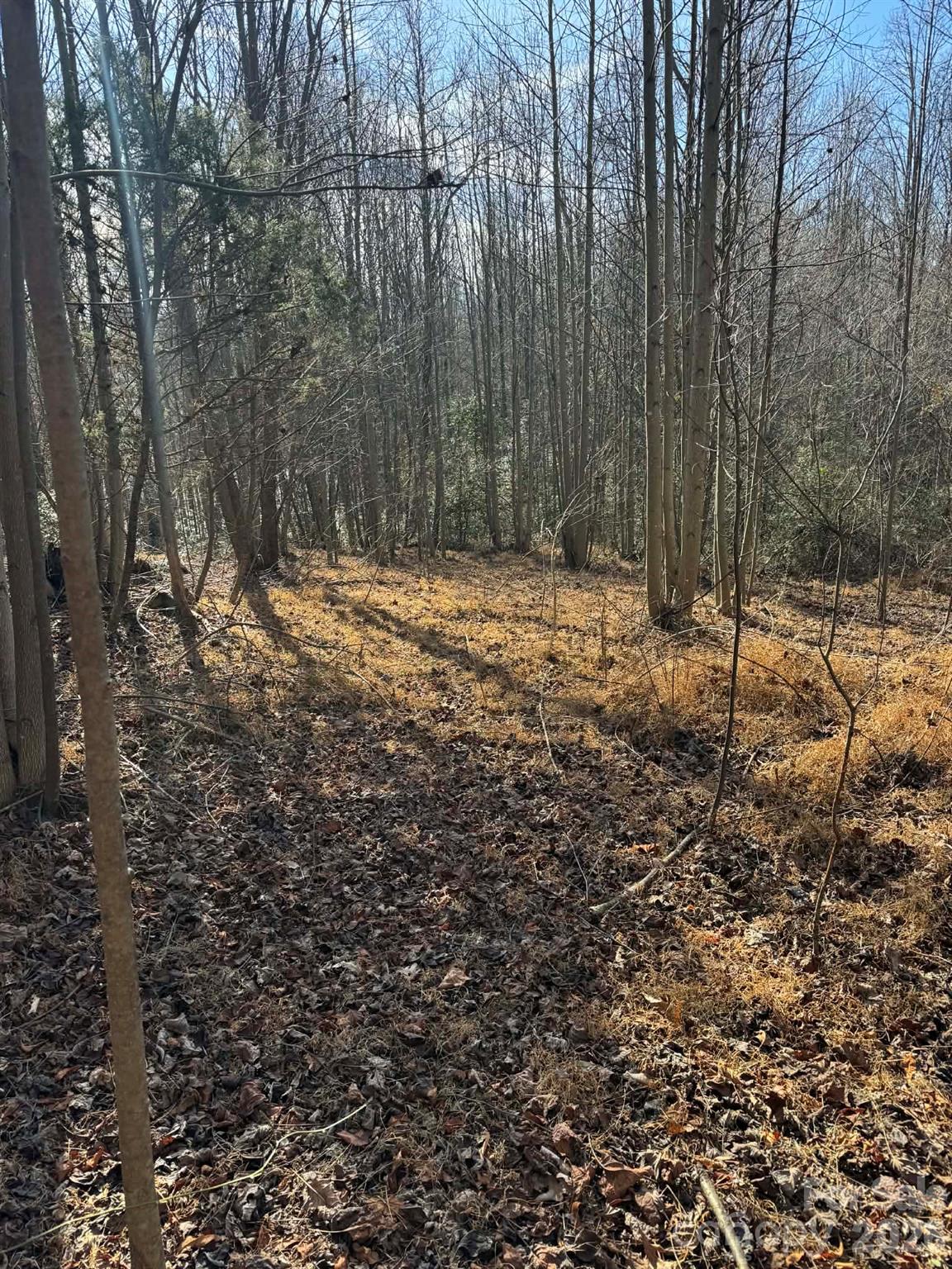 001 Rock Creek Church Road North Wilkesboro NC 28659