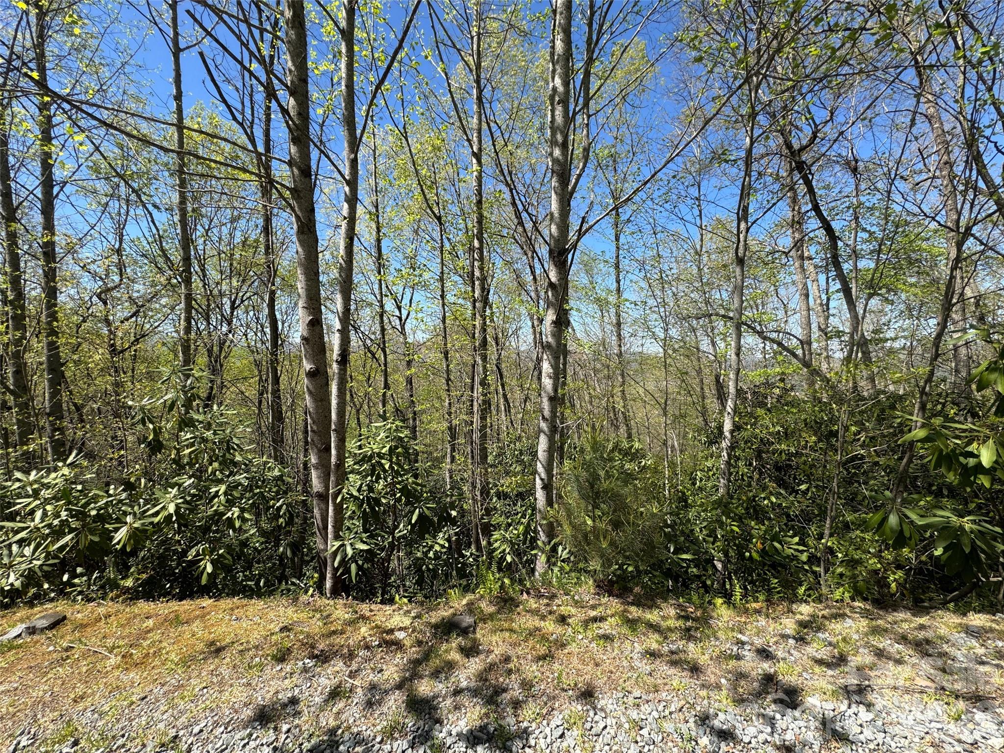33 Reserve Road Pisgah Forest NC 28768