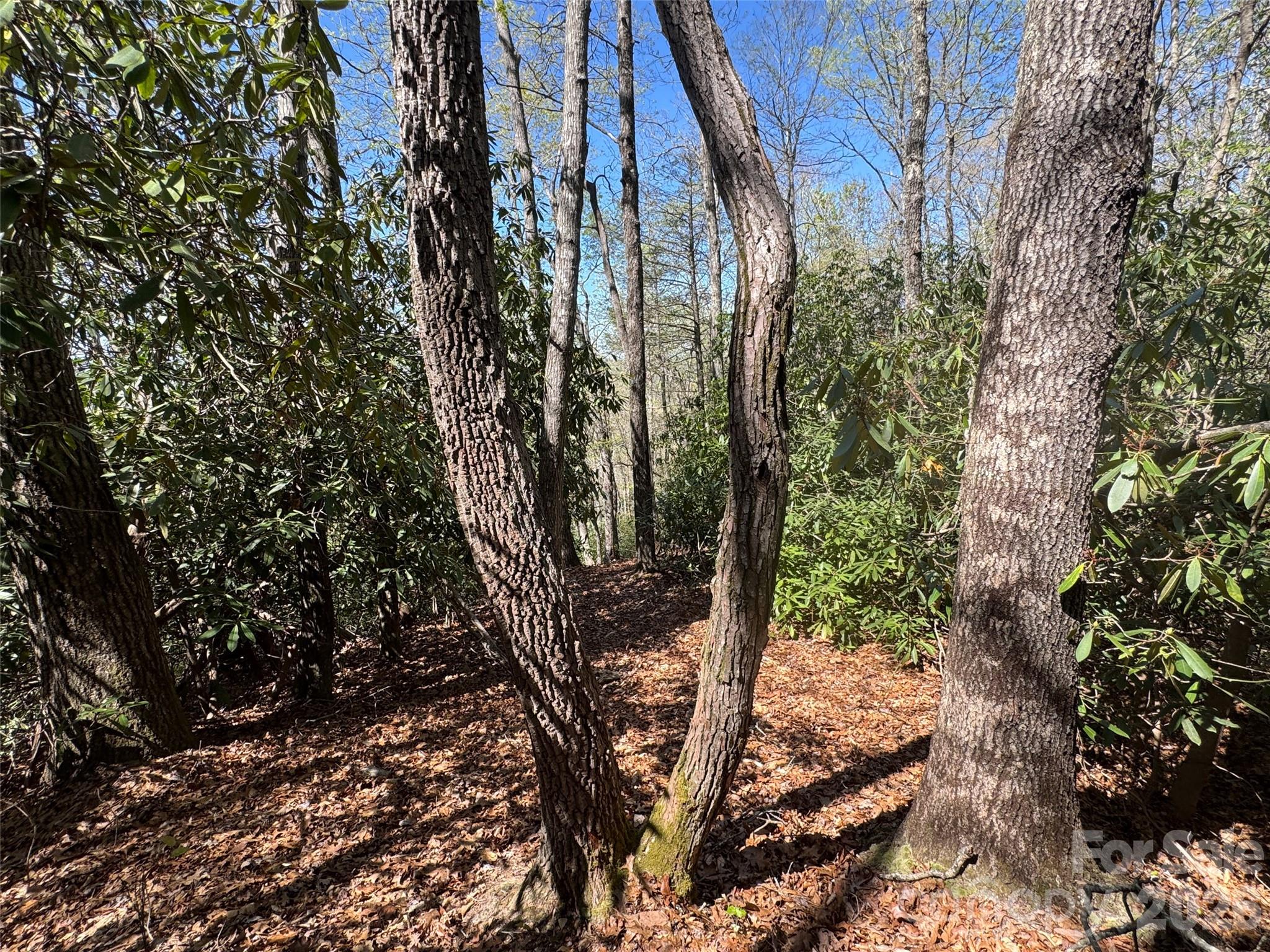 33 Reserve Road Pisgah Forest NC 28768