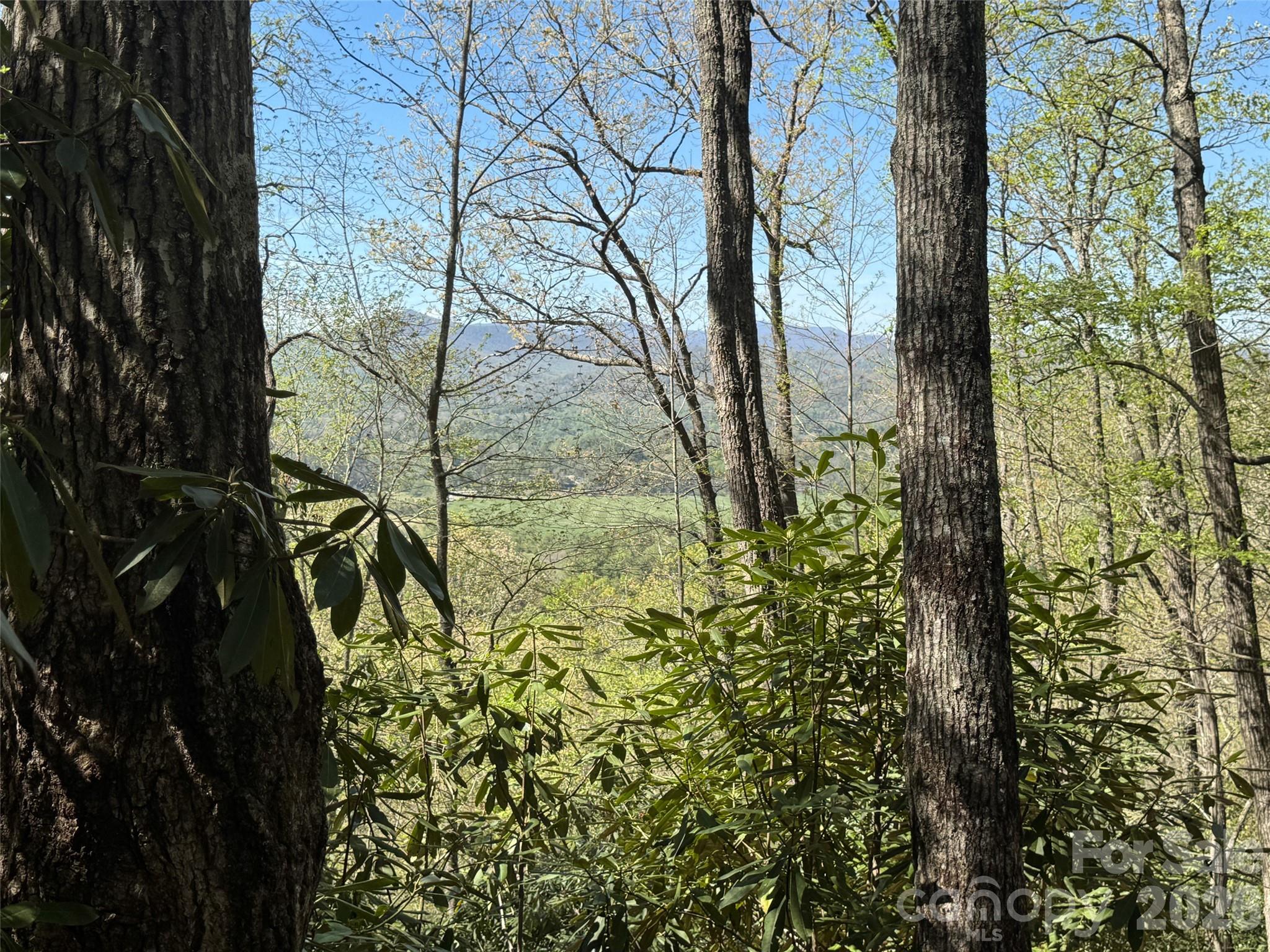 33 Reserve Road Pisgah Forest NC 28768