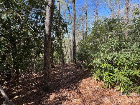 33 Reserve Road Pisgah Forest NC 28768