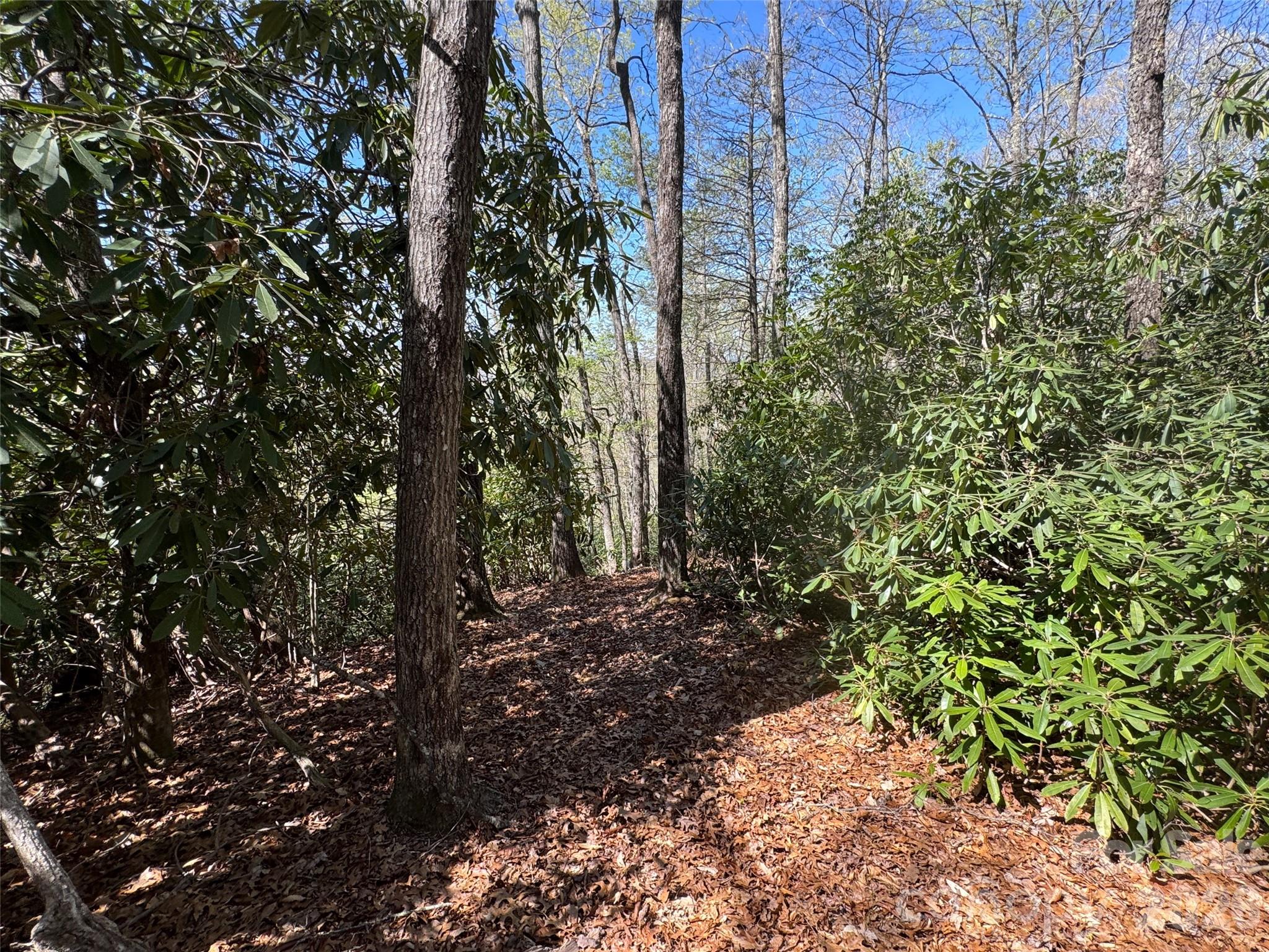 33 Reserve Road Pisgah Forest NC 28768