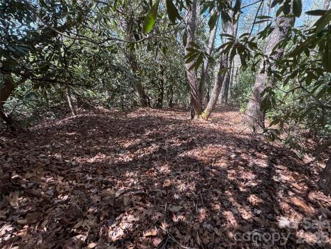 33 Reserve Road Pisgah Forest NC 28768