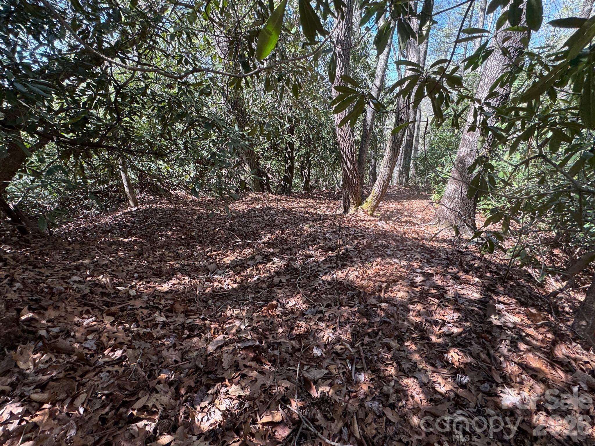 33 Reserve Road Pisgah Forest NC 28768
