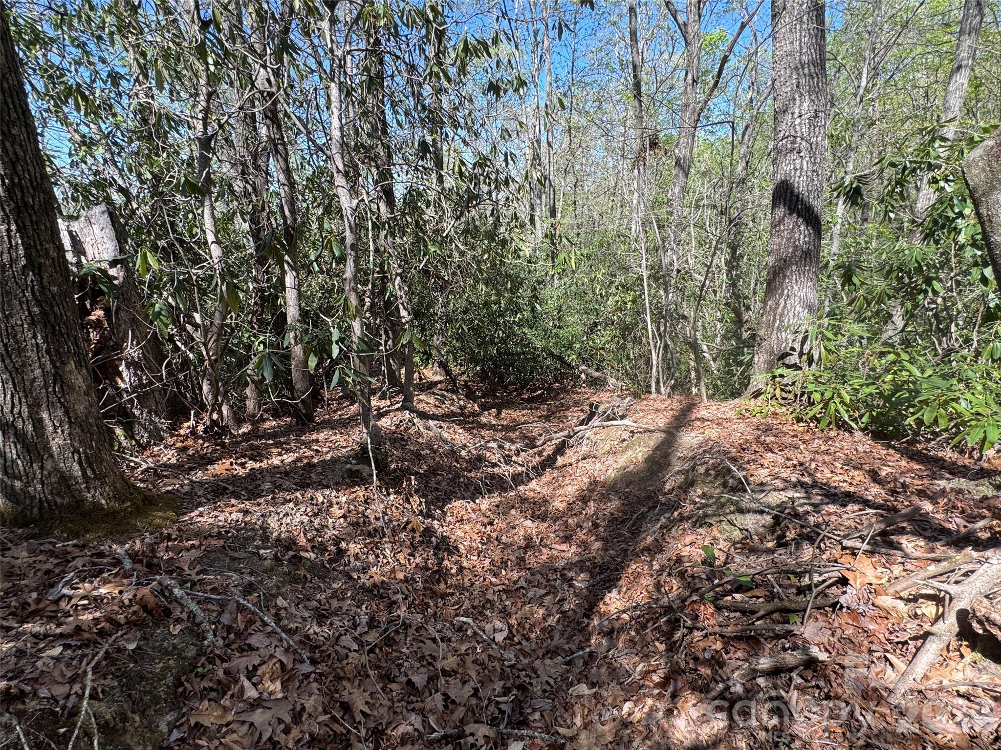 33 Reserve Road Pisgah Forest NC 28768
