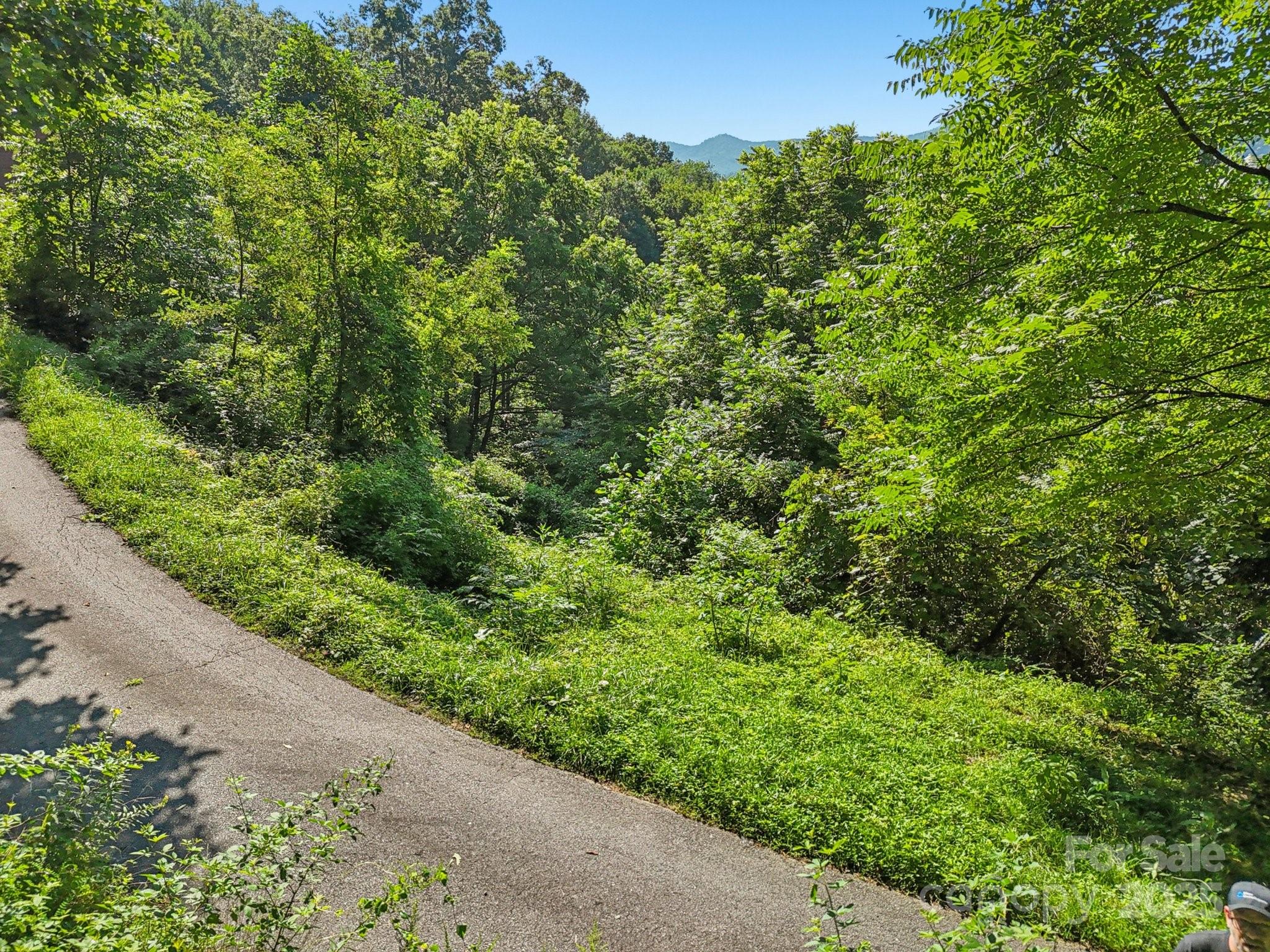 50 Slim Ridge Maggie Valley NC 28751