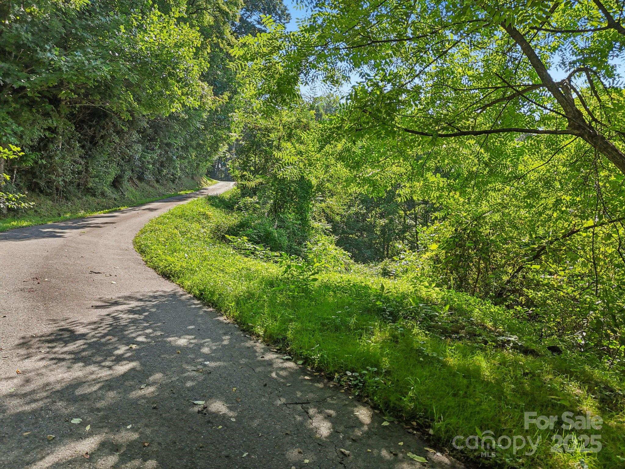 50 Slim Ridge Maggie Valley NC 28751