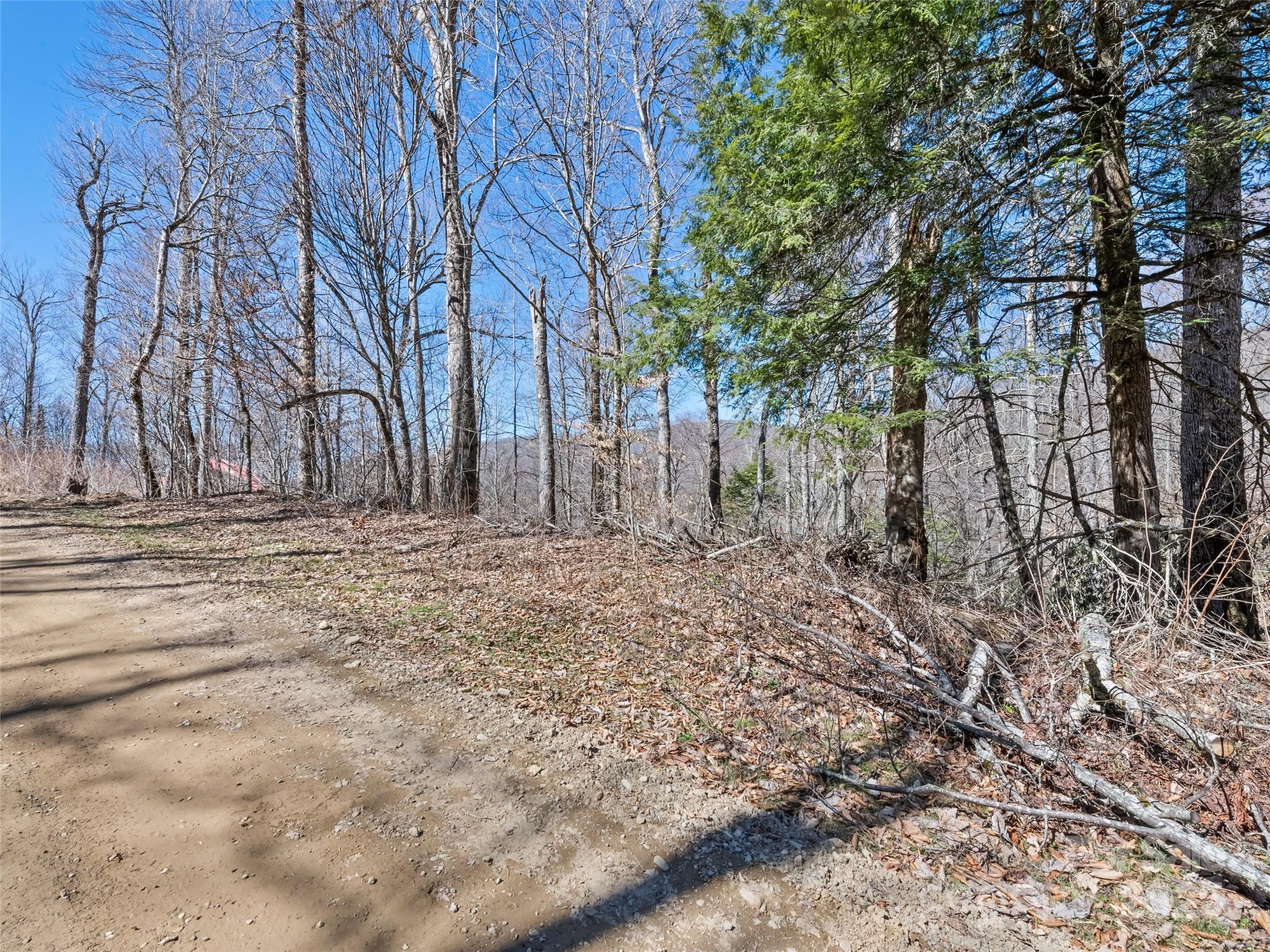 Lot 7 Spruce Flats Road Maggie Valley NC 28751
