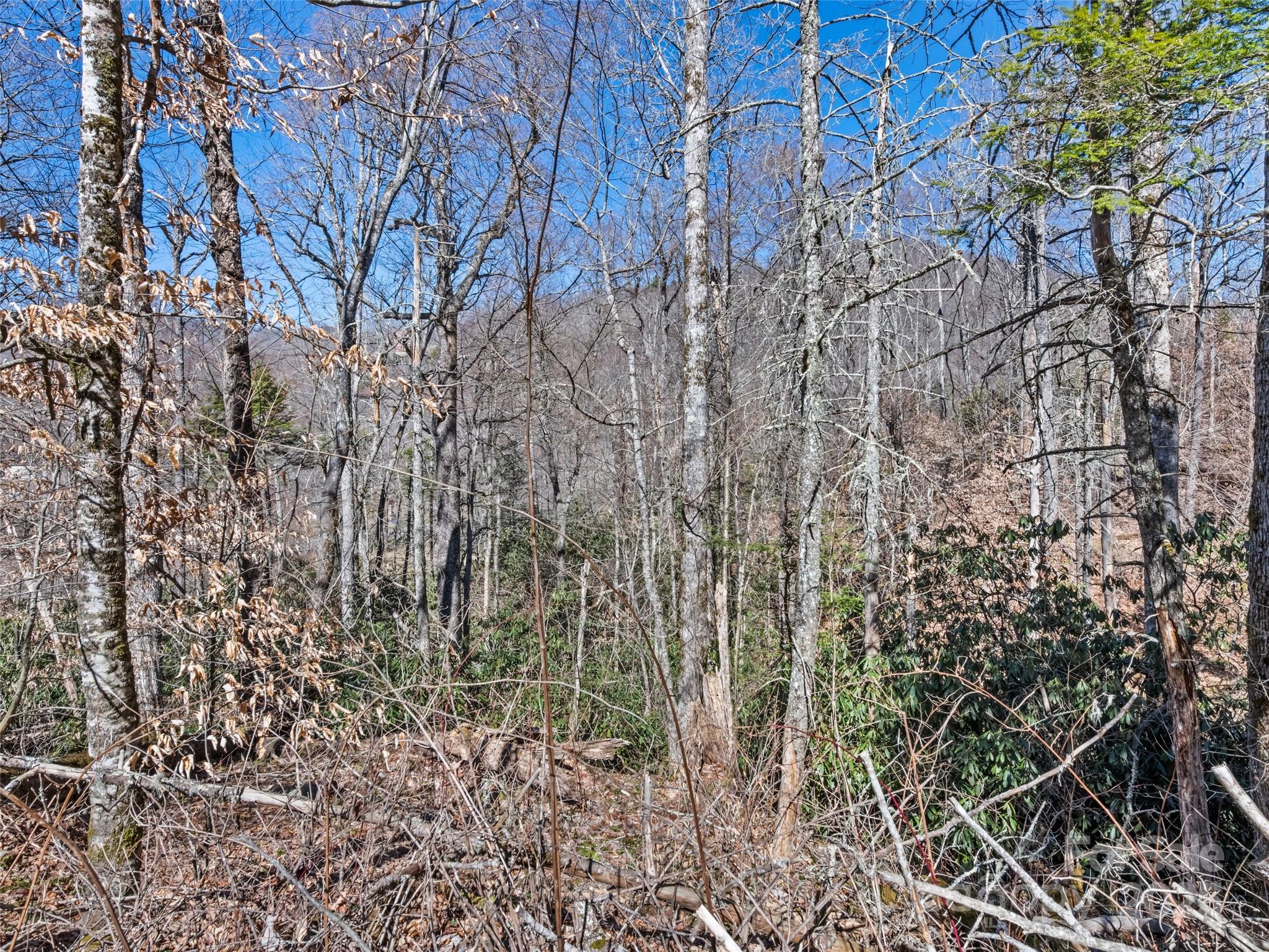 Lot 7 Spruce Flats Road Maggie Valley NC 28751