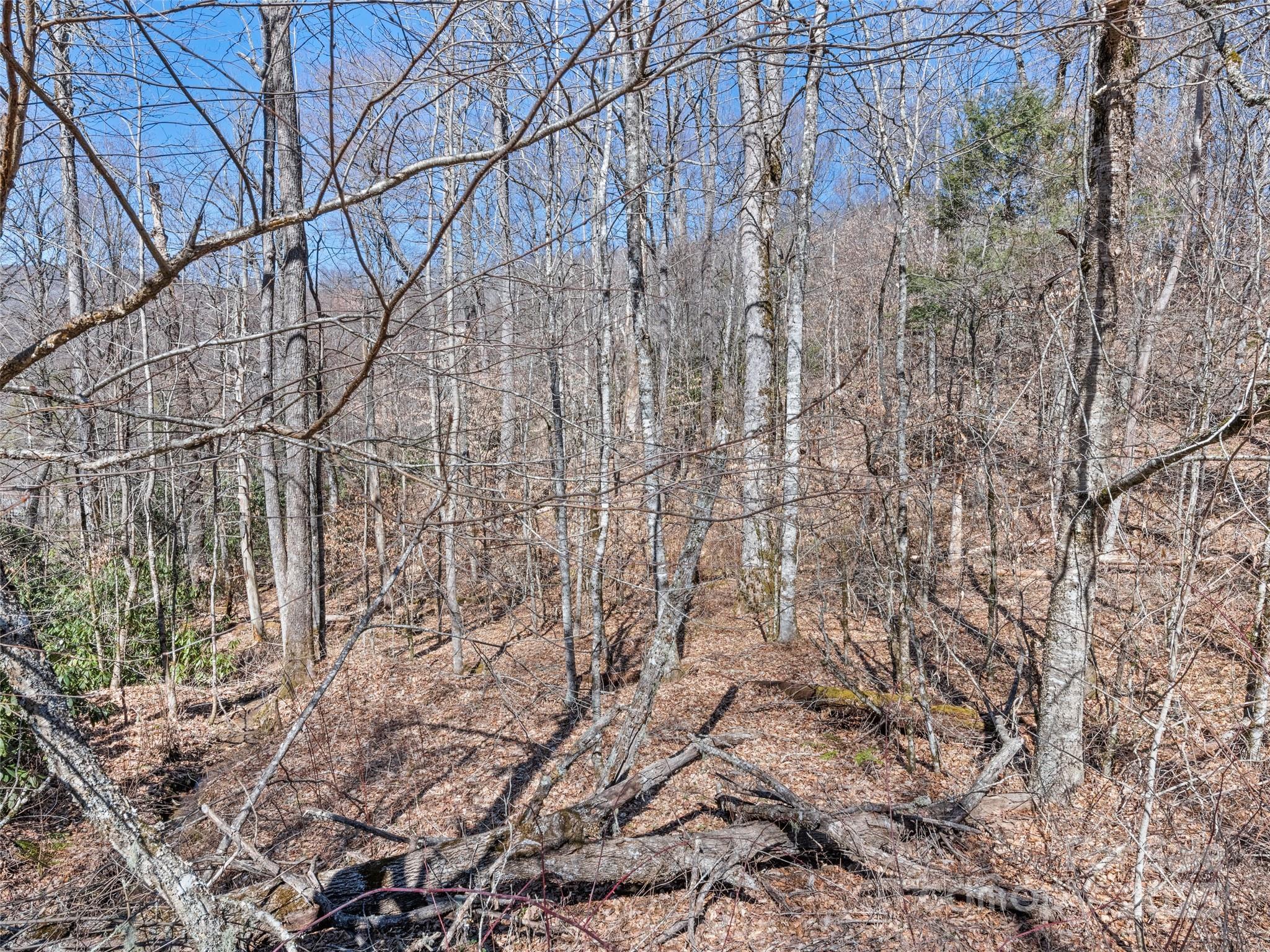 Lot 7 Spruce Flats Road Maggie Valley NC 28751