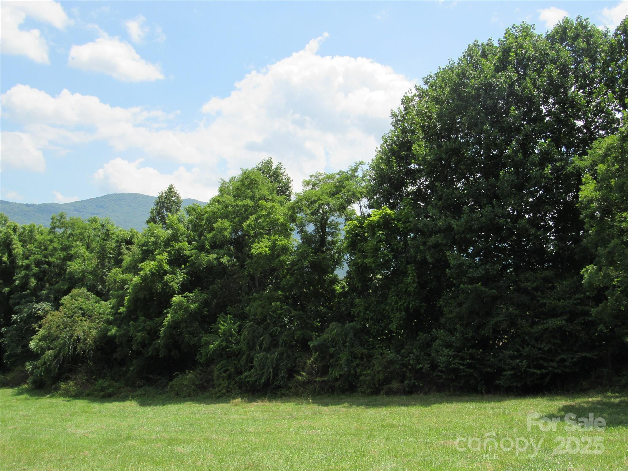 LT#2 Mystic View Lane Black Mountain NC 28711