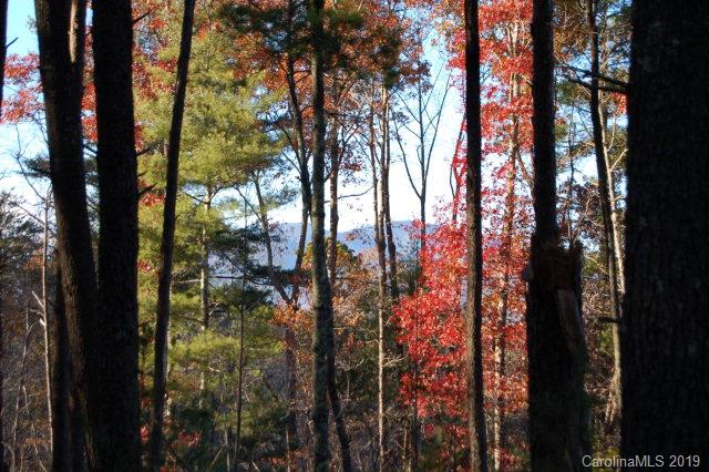 114 Fish Camp Drive Nebo NC 28761