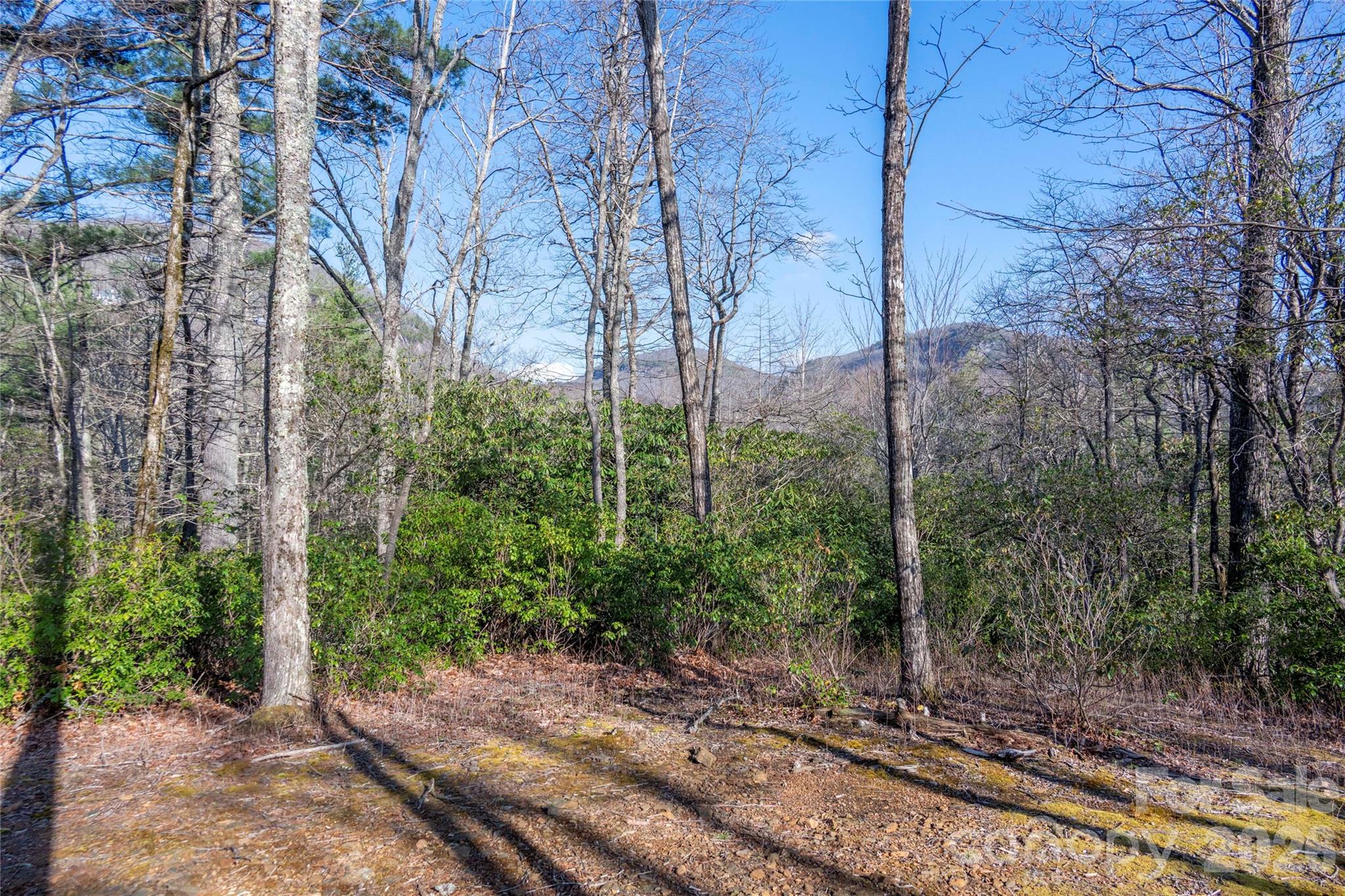 Trp 1 Cardinal Drive W Lake Toxaway NC 28747